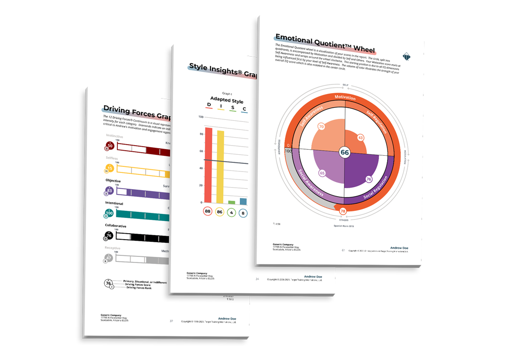 DISC Assessment